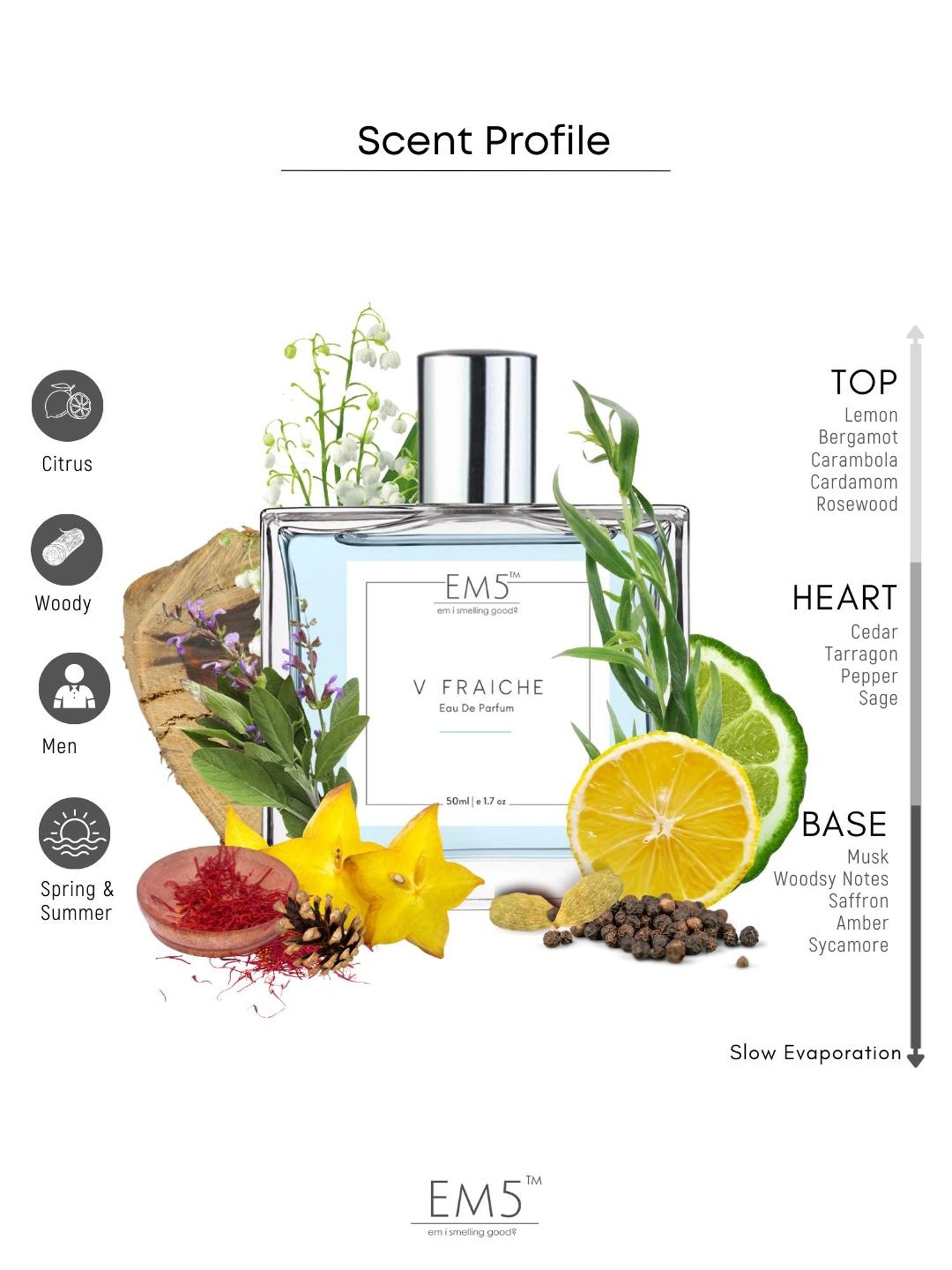 EM5 V Fraiche Eau de Parfum for Men - 50 ml