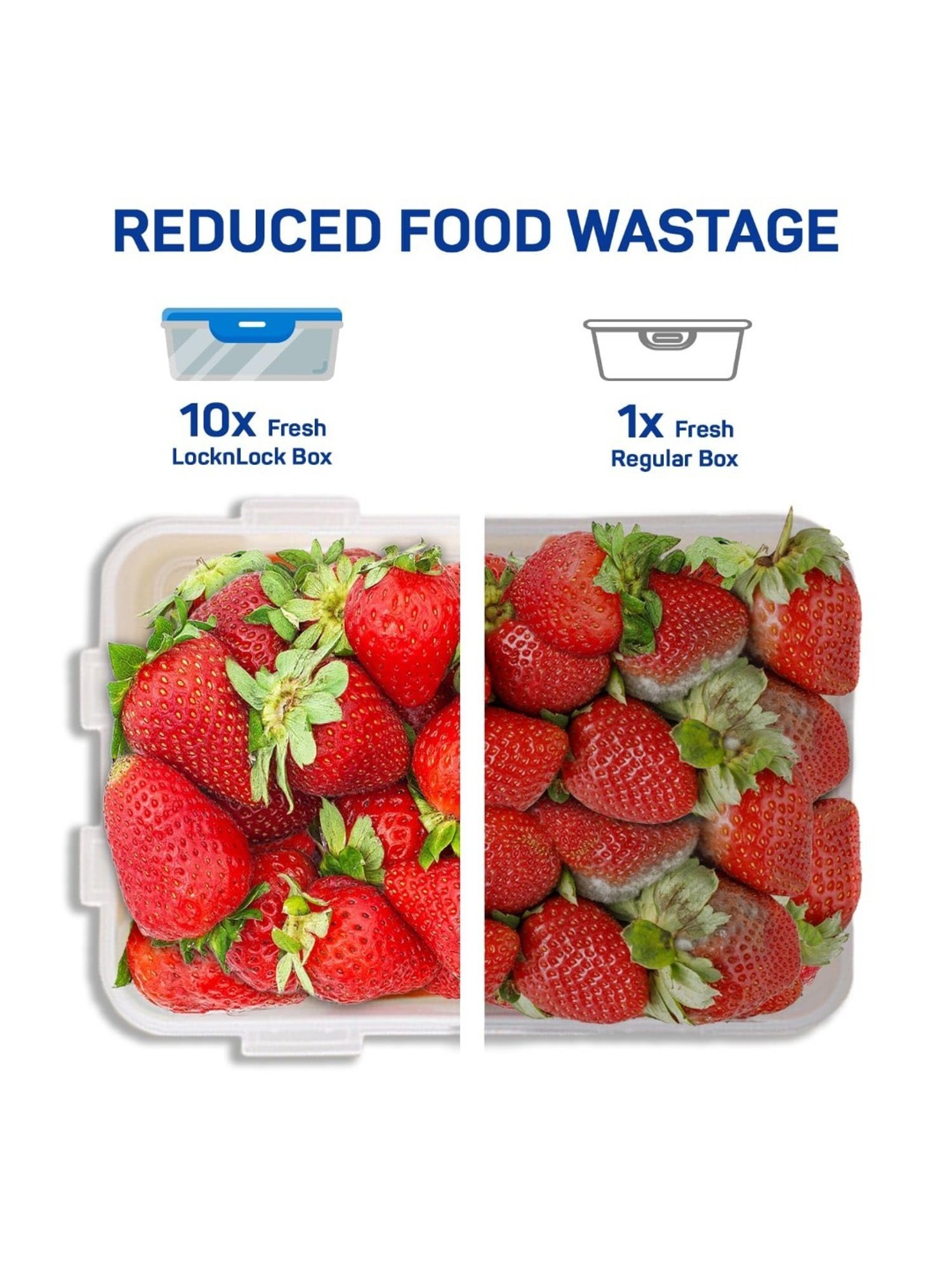 Lock & Lock Transparent Plastic Airtight Food Storage Containers with Lid - Set of 3