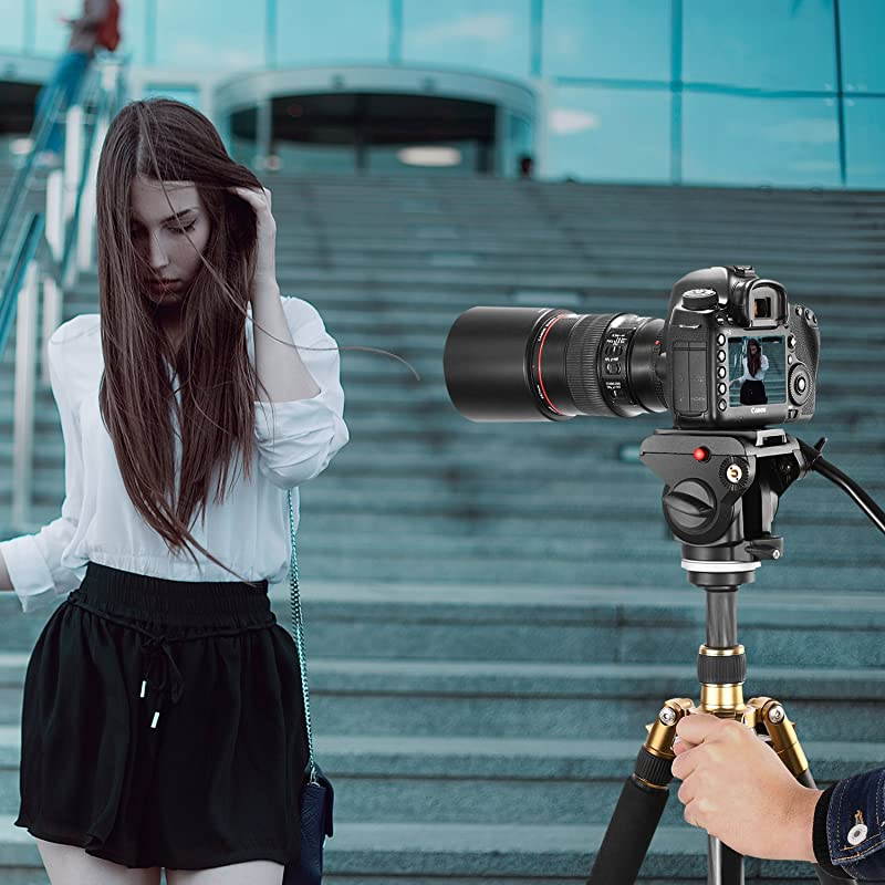 Heavy Duty Video Camera Tripod Fluid Drag Pan Head with 14 and 38 inches Screws Sliding Plate for DSLR Cameras Video Camcorders Shooting Filmingup to 11 pounds5 kilogramsAluminum Alloy