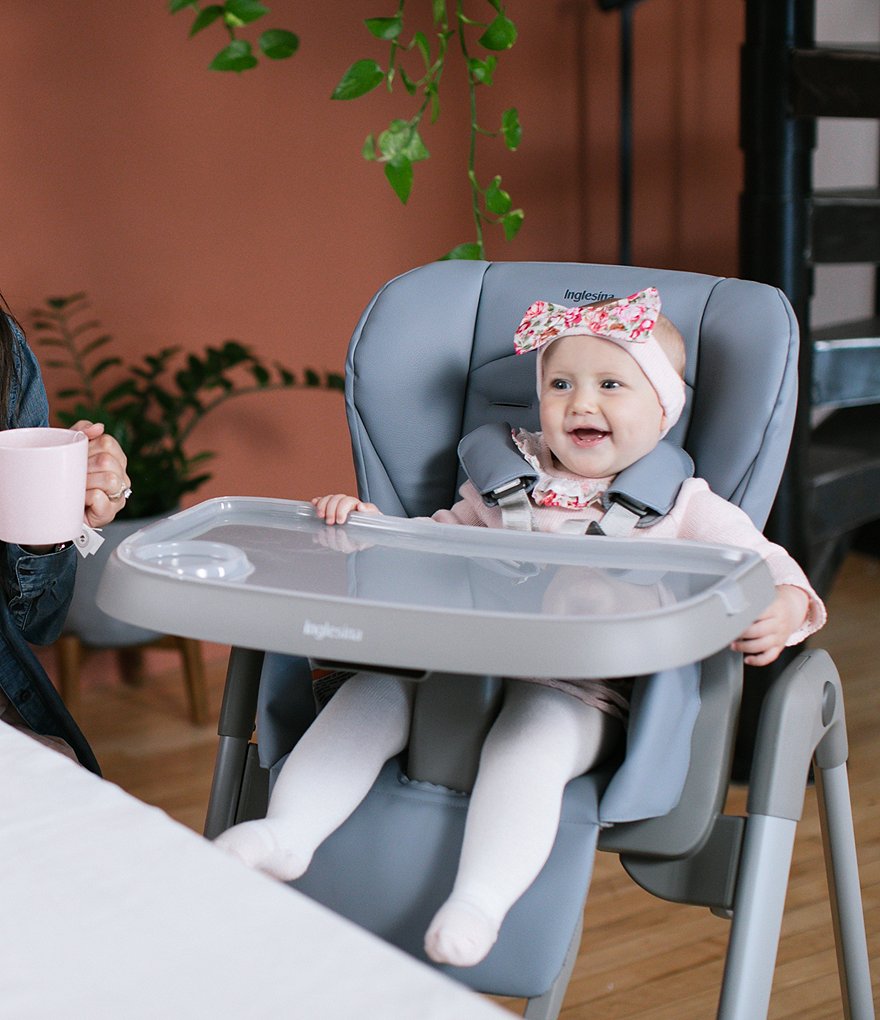 Inglesina My Time Highchair