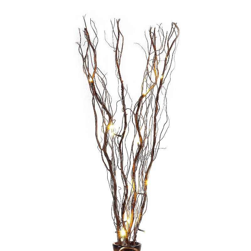 Lightshare 36" 16 LED Natural Twig Branch Light for Home Decoration, Battery Powered - Warm White Lights