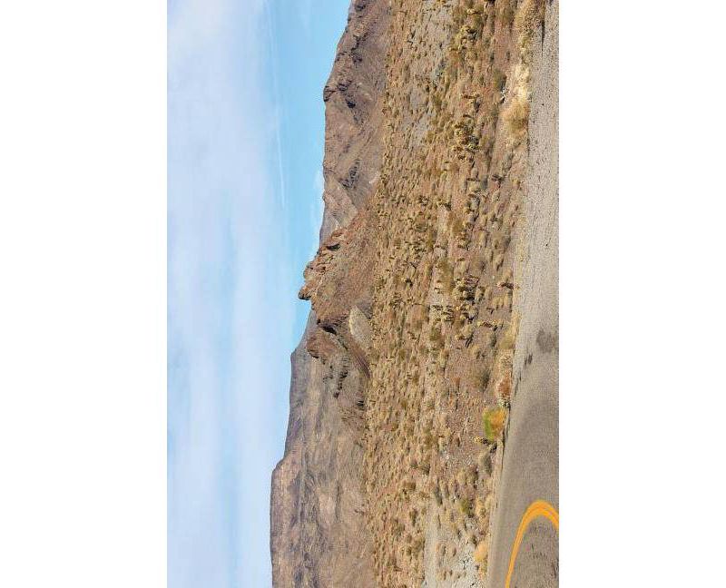 Haiku in English - by  Jim Kacian & Philip Rowland & Allan Burns (Paperback)