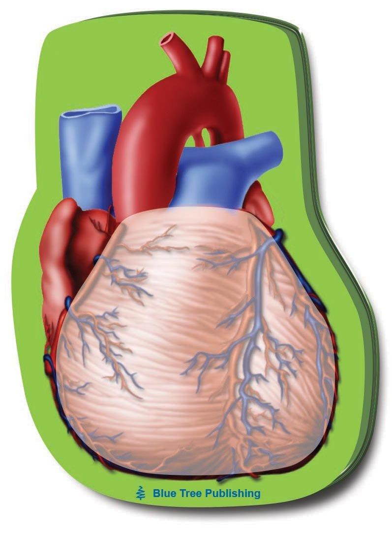 Heart Stick Notes, 2 Pack-100 Sheets Per Pack