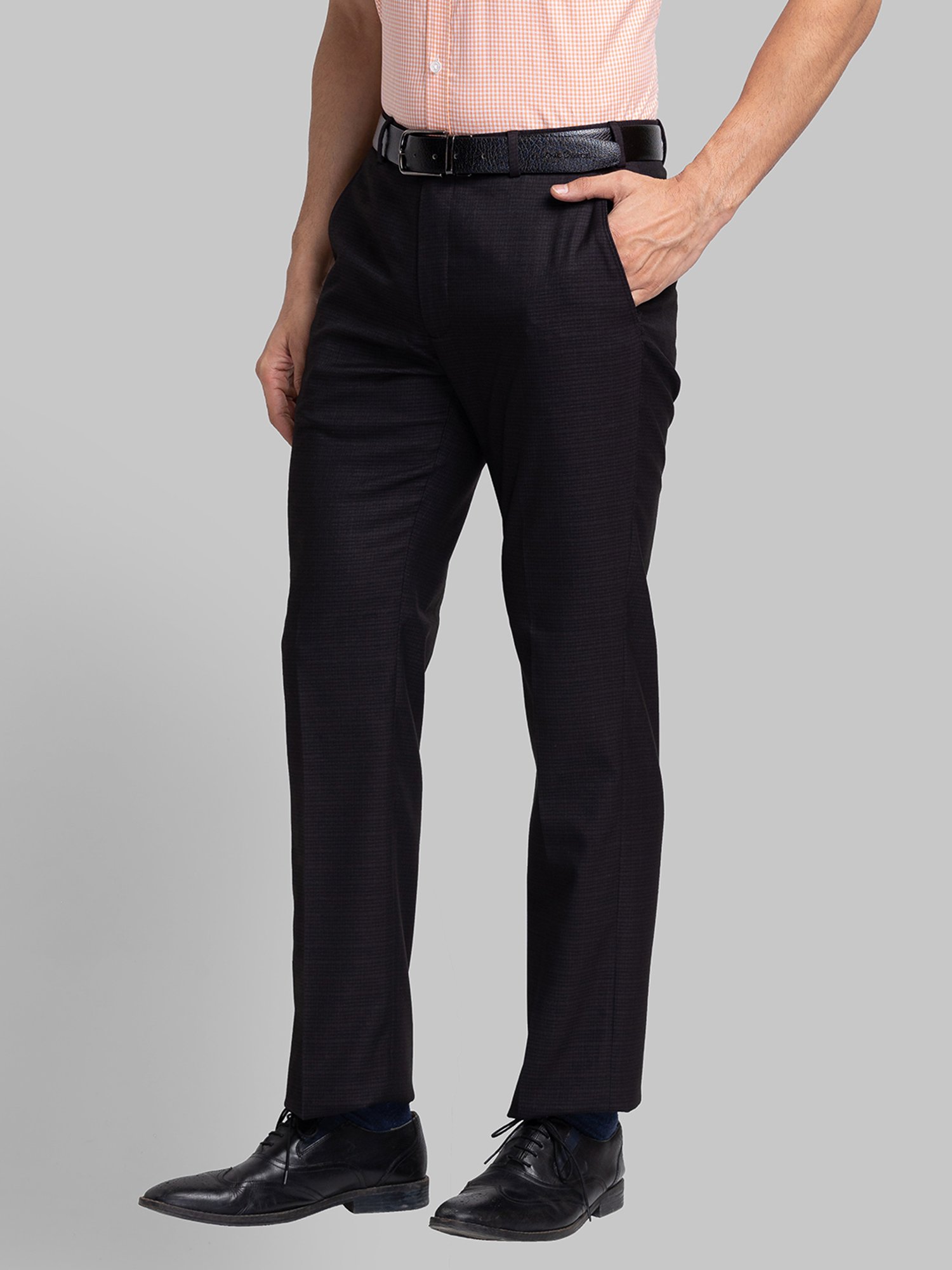 Park Avenue Purple Regular Fit Checks Trousers