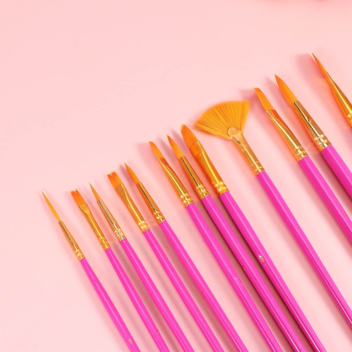 12pcs Professional Paint Brushes Set Watercolor Painting Brush Different Shapes Drawing Brushes Painting Kit for Students Artists (Black)