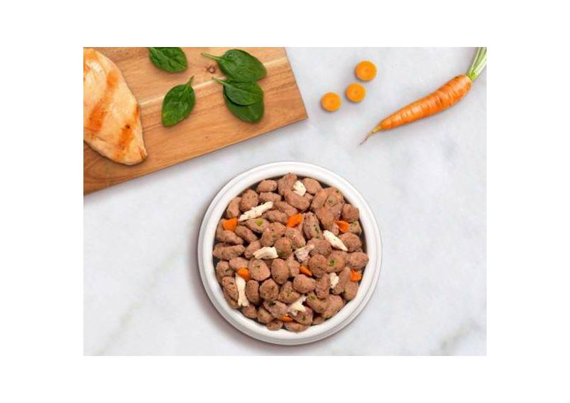 Freshpet Select Roasted Meals Tender Chicken Recipe Refrigerated Wet Dog Food - 5.5lbs