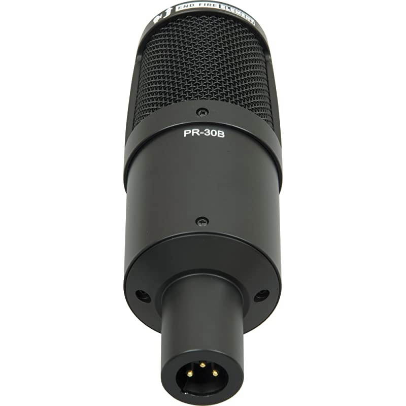 Sound PR 30B Large-Diaphragm Dynamic Microphone