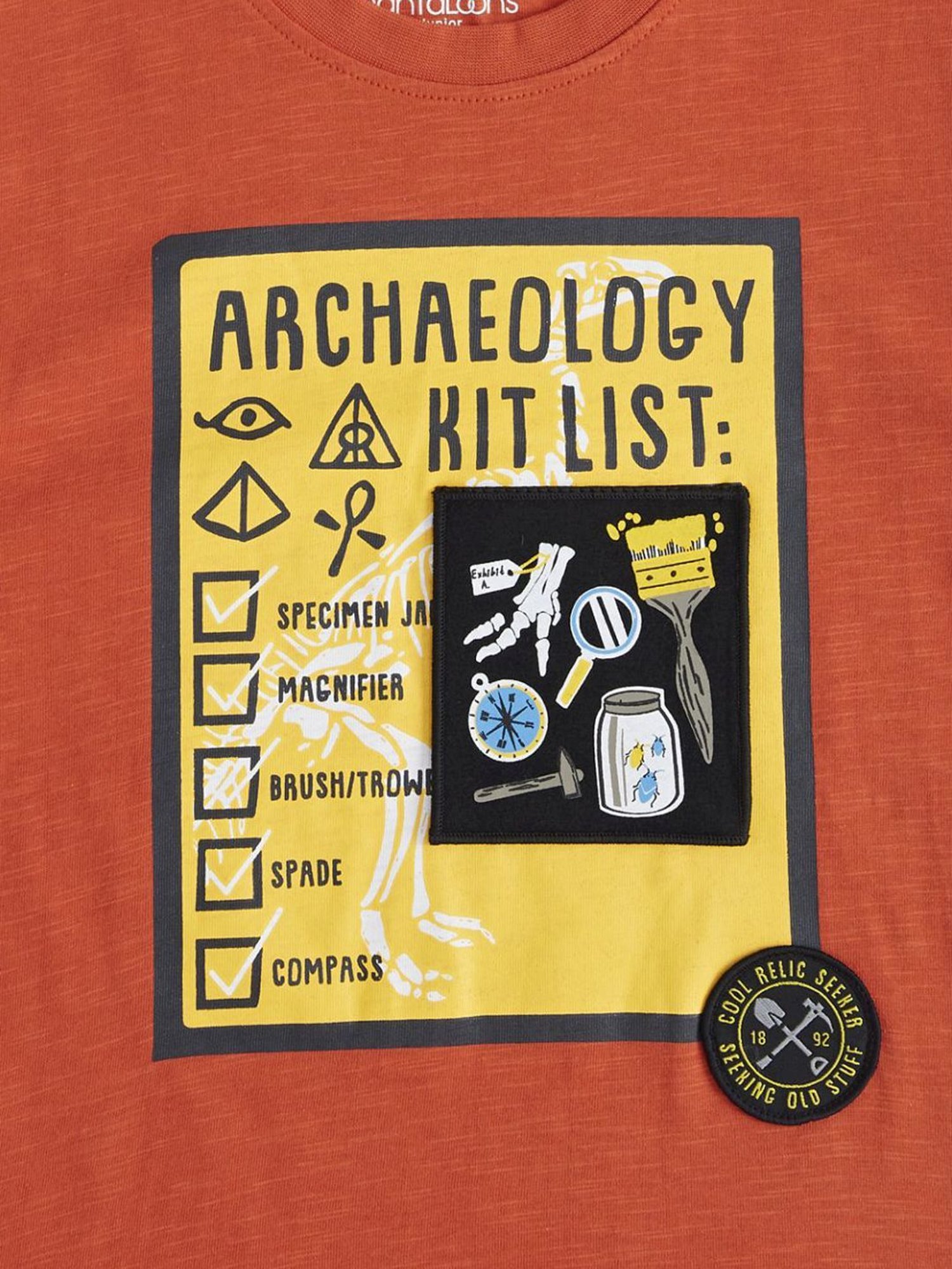 Pantaloons Junior Rust Cotton Printed T-Shirt