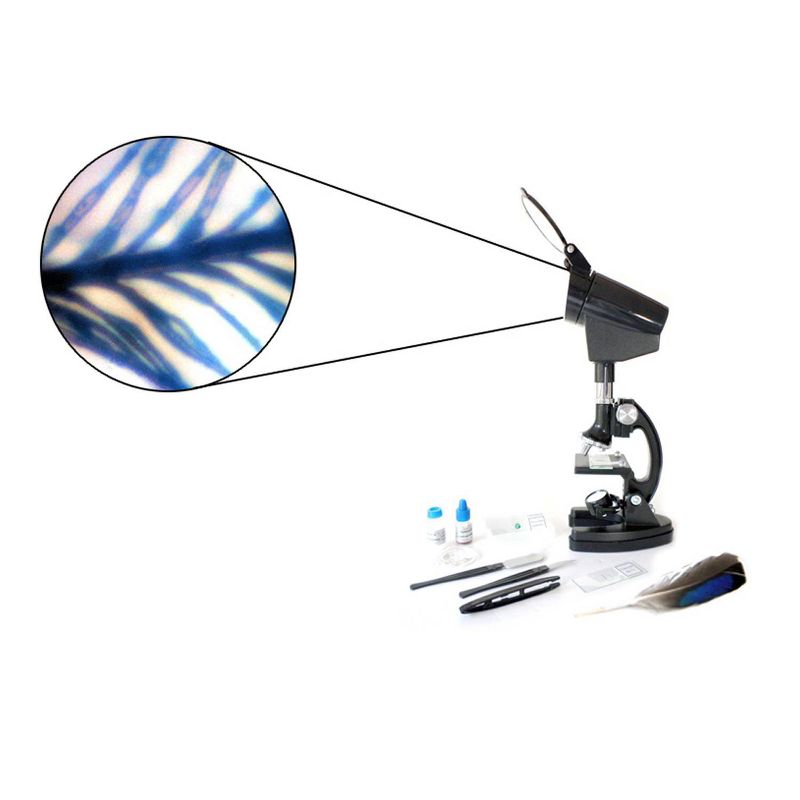 Cassini 98pc Microscope Kit