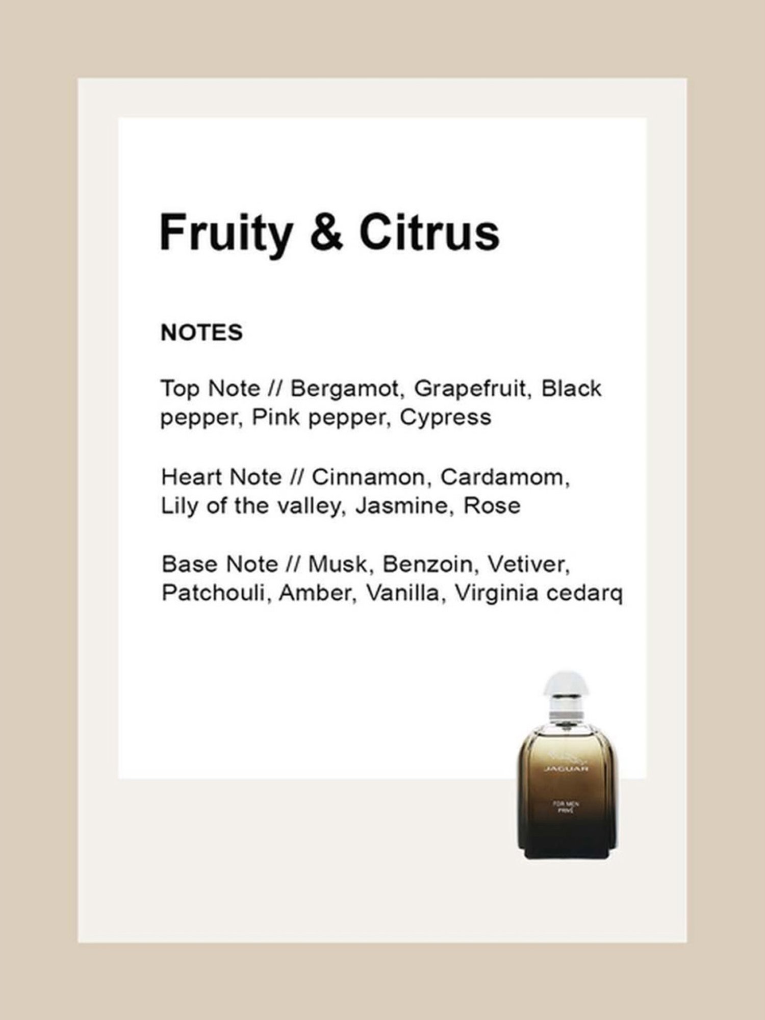 JAGUAR For Men Prive EDT - 100 ml