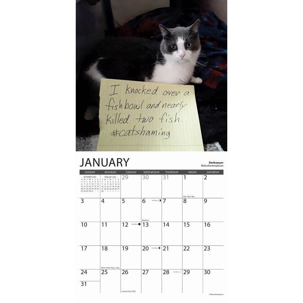 Willow Creek Press,  Cat Shaming 2021 Wall Calendar 2021