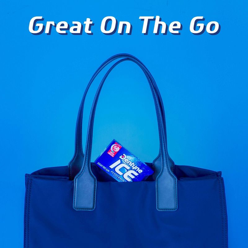 Dentyne Ice Sugar Free Gum - 48ct