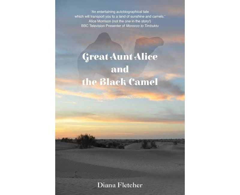Great Aunt Alice and the Black Camel - by  Diana Fletcher (Paperback)