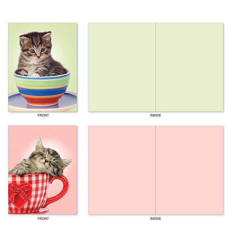 10 All Occasion Blank Cat Cards (4 x 5.12 Inch) - Cute Assorted Bulk Card Set - Cup-Cats M3969