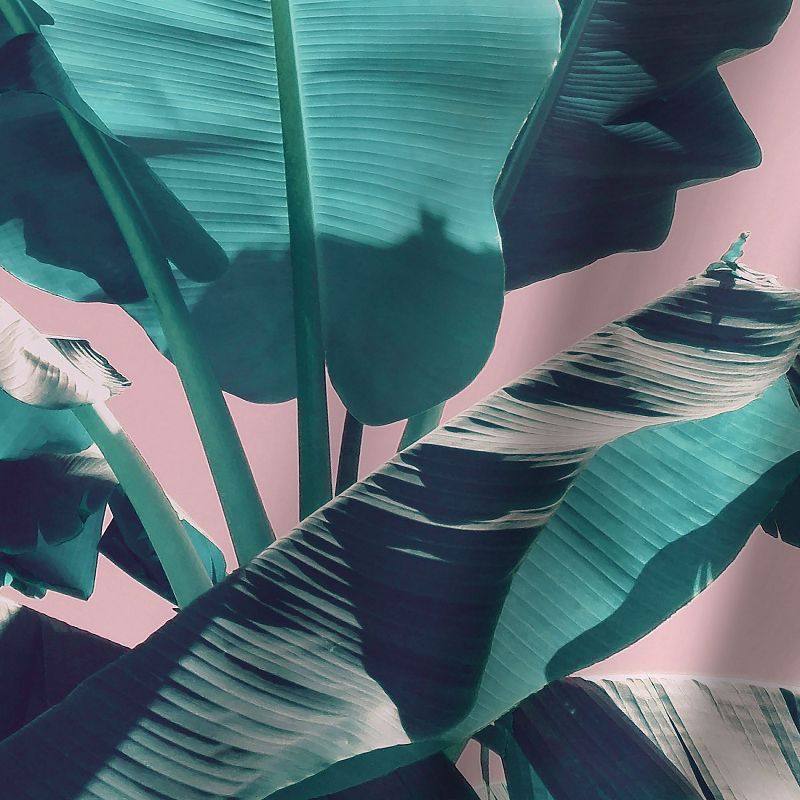 Americanflat Pink Jungle by Emanuela Carratoni Blackout Rod Pocket Single Curtain Panel 50x84