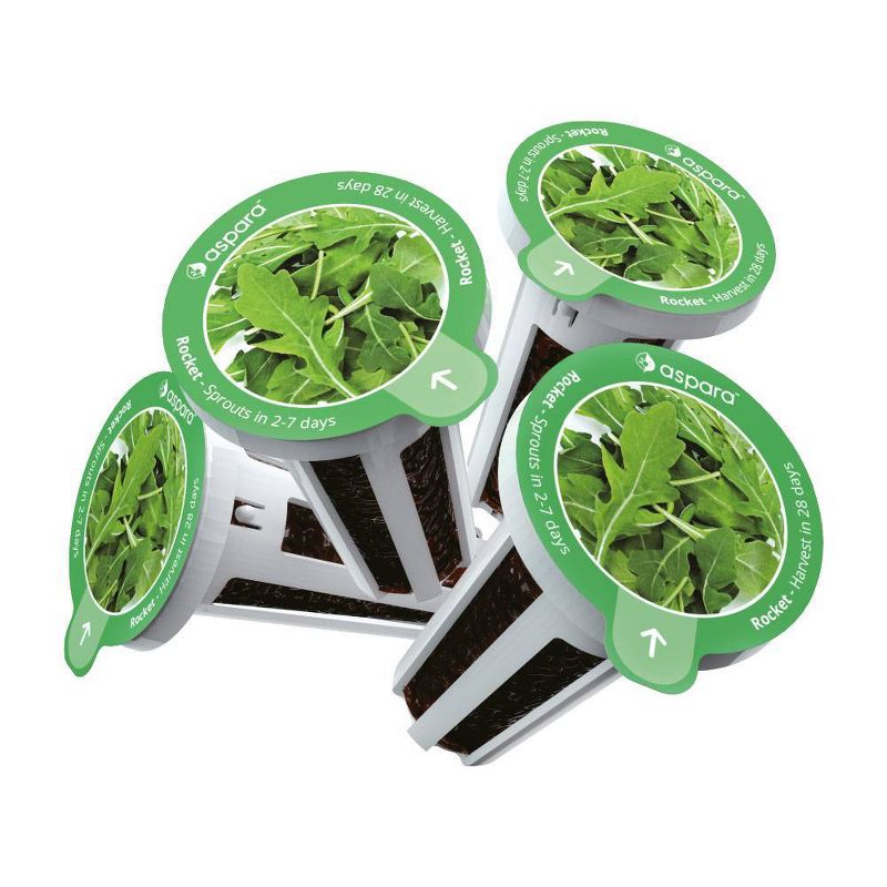 Aspara KLS0001 8 Capsule Seed Kit - Rocket