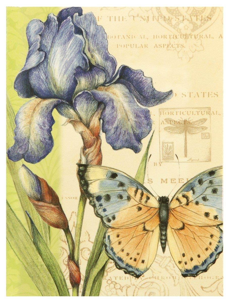 C.R. Gibson Blank Boxed Note Cards, 10-Count With Coordinating Envelopes, Measures 5" x 3.75" - Eden