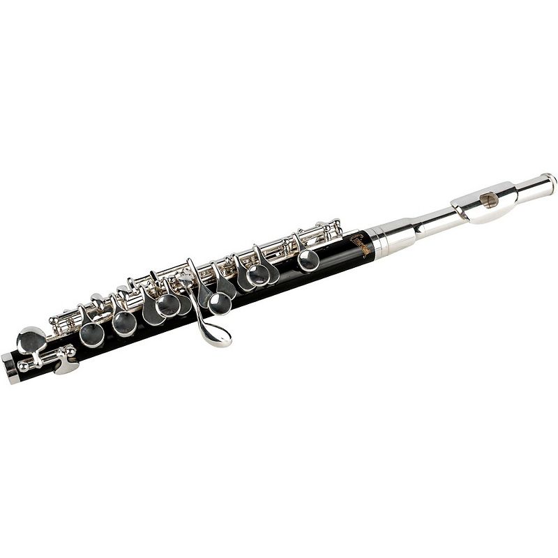 Allora AFL-250 Student Series Flute Offset G C-Foot
