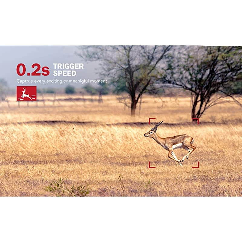 Trail Camera 20MP 1080P Game Hunting Cameras with IP66 Waterproof No-Glow Clear Night Vision and 3 Infrared Motion Sensors for Garden Outdoor Wildlife Monitoring and Home Security Surveillance