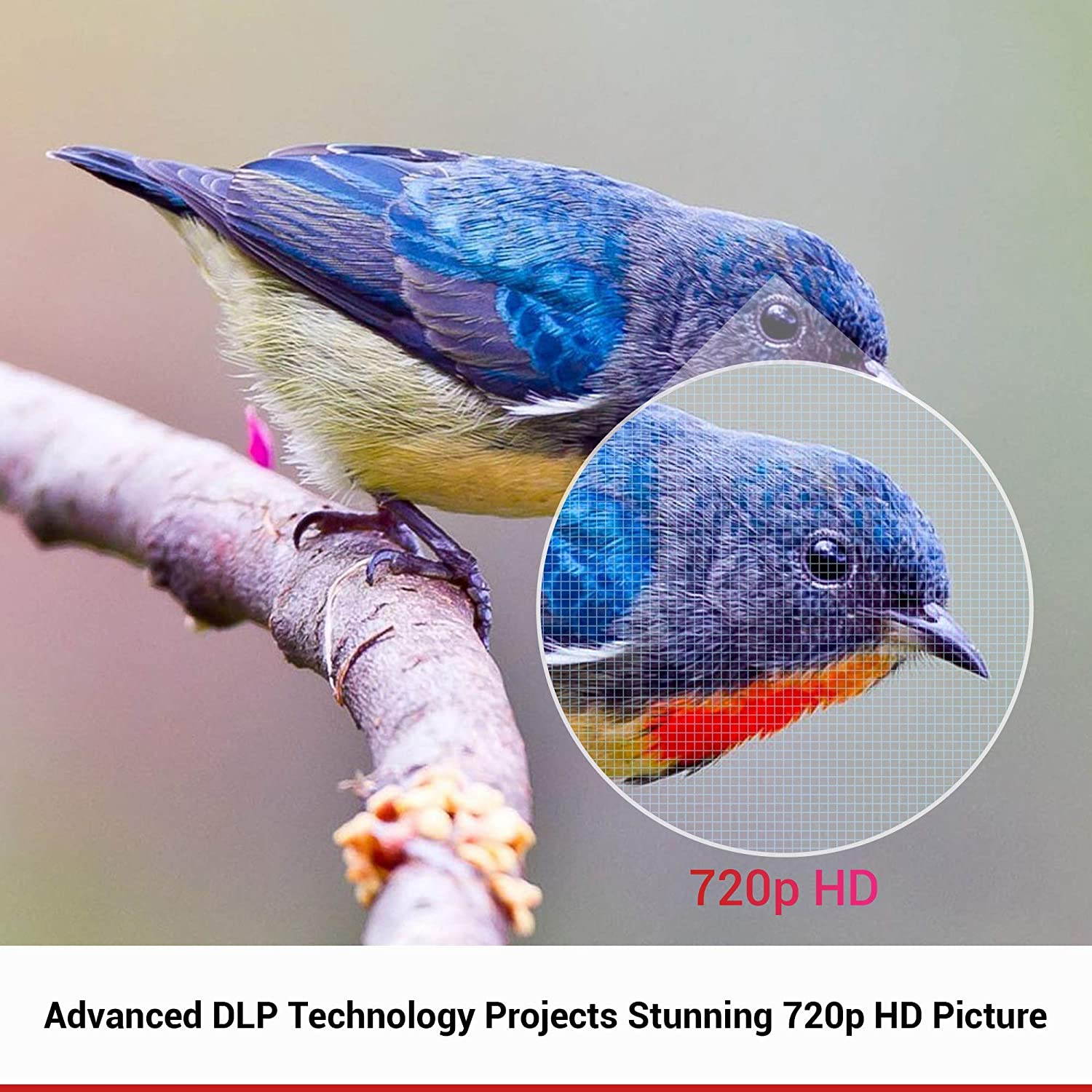 Nebula Capsule II Smart Mini Projector, by Anker, Palm-Sized 200 ANSI Lumen 720p HD Portable Projector Pocket Cinema with Wi-Fi, DLP, 8W Speaker, 100 Inch Picture, 3, 600+ Apps