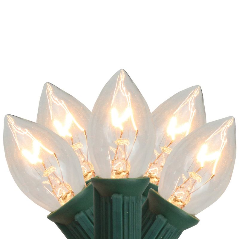 J. Hofert Co 25ct C7 Christmas String Lights Transparent Clear - 24' Green Wire