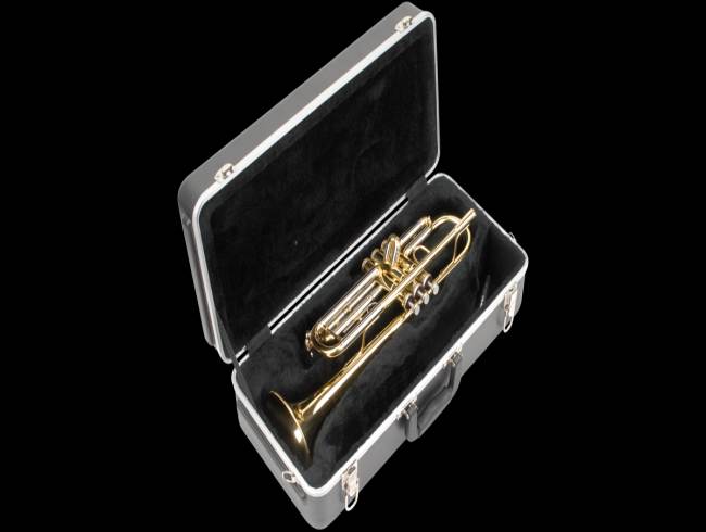 skb trumpet rectangular case
