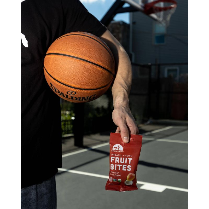 Organic Dried Unsweetened Tropical Blend - Banana, Mango & Pineapple - 4oz - Good & Gather™