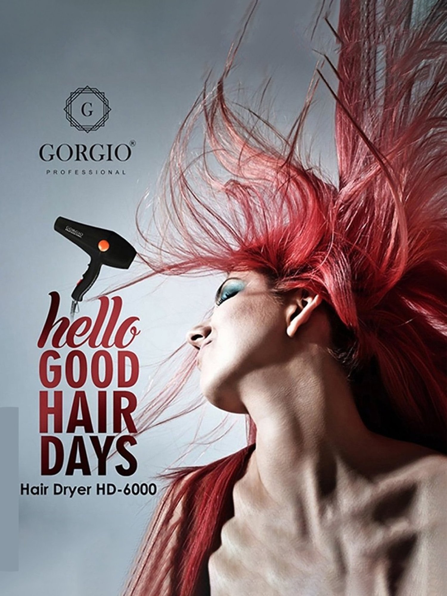 Gorgio Professional HD6000 3000W Hair Dryer (Black)