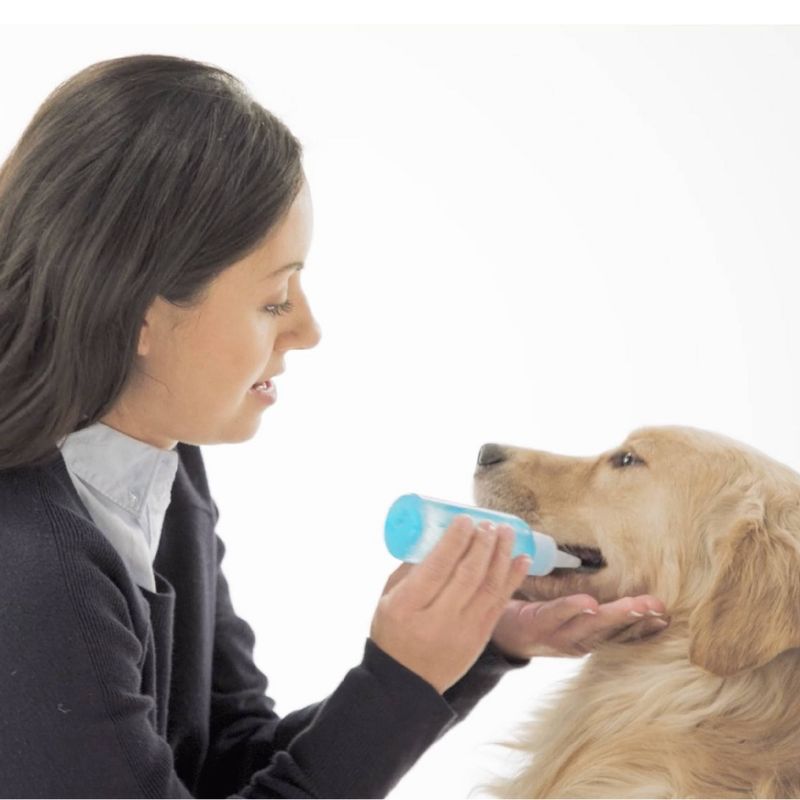 Burt's Bees Water-less Cat Shampoo - 10oz