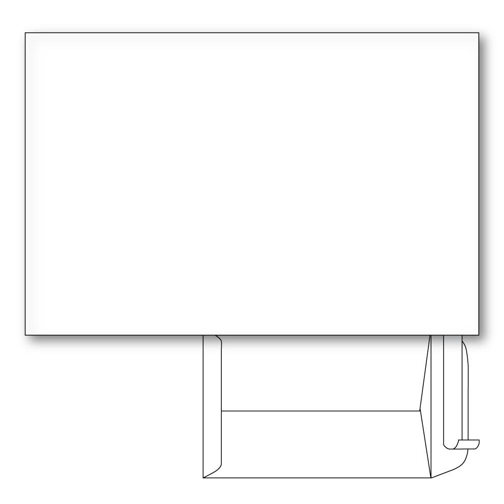 Tyvek Catalog Envelopes, 14 lb, Peel & Seal. Size: 9" x 12". Qty - 500 per box.