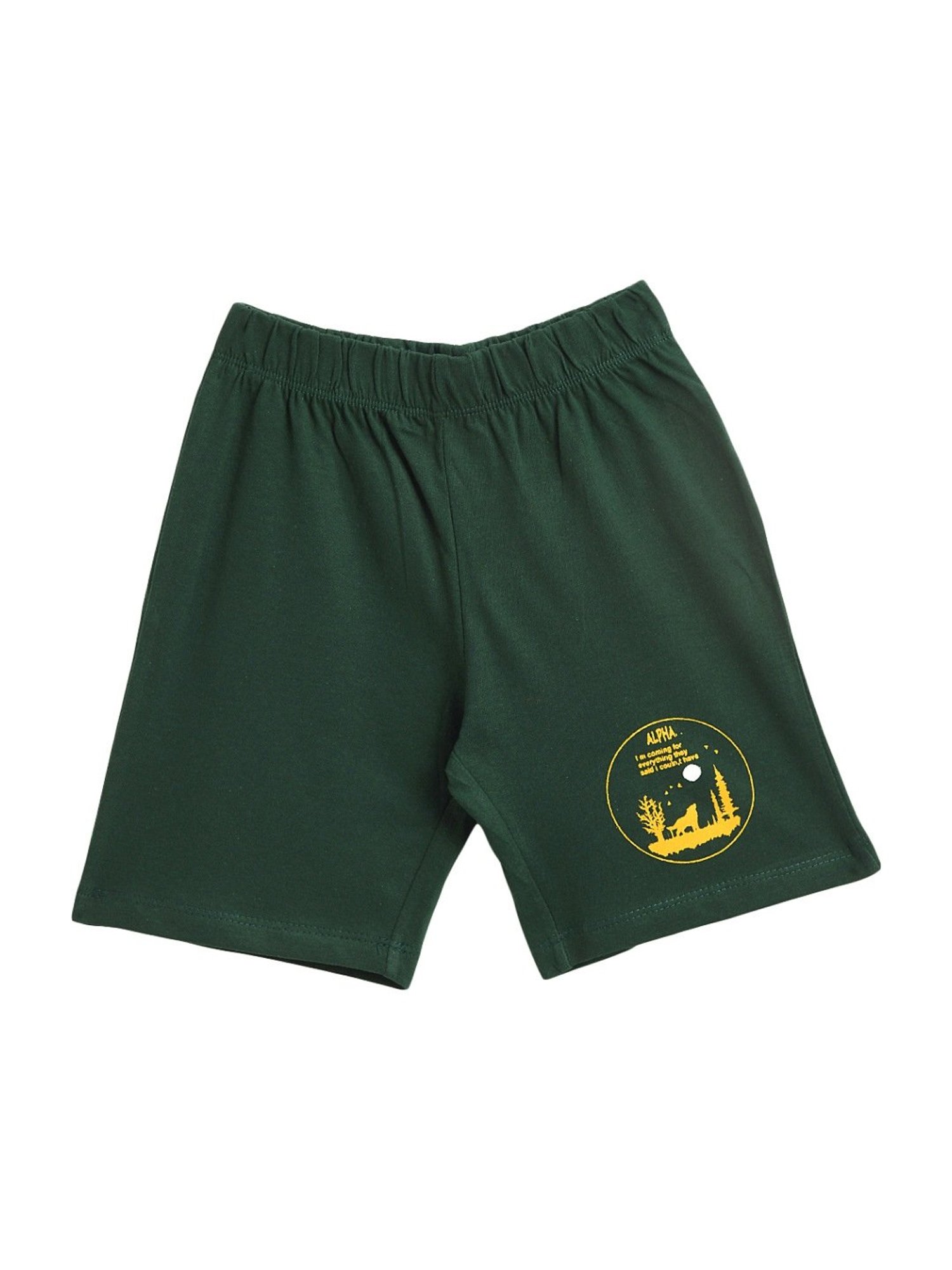 Kids Craft Bottle Green Cotton Printed T-Shirt & Shorts