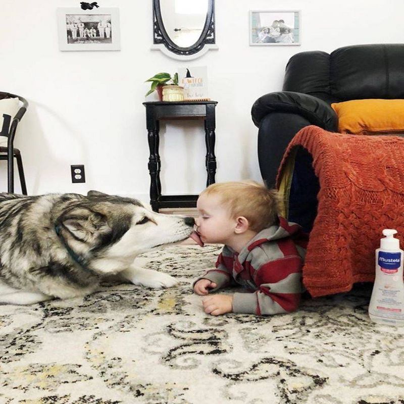 Mustela Sensitive No Rinse Soothing Cleansing Baby Micellar Water Fragrance Free - 10.14 fl oz