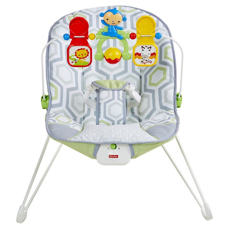 ​Fisher-Price Baby Bouncer