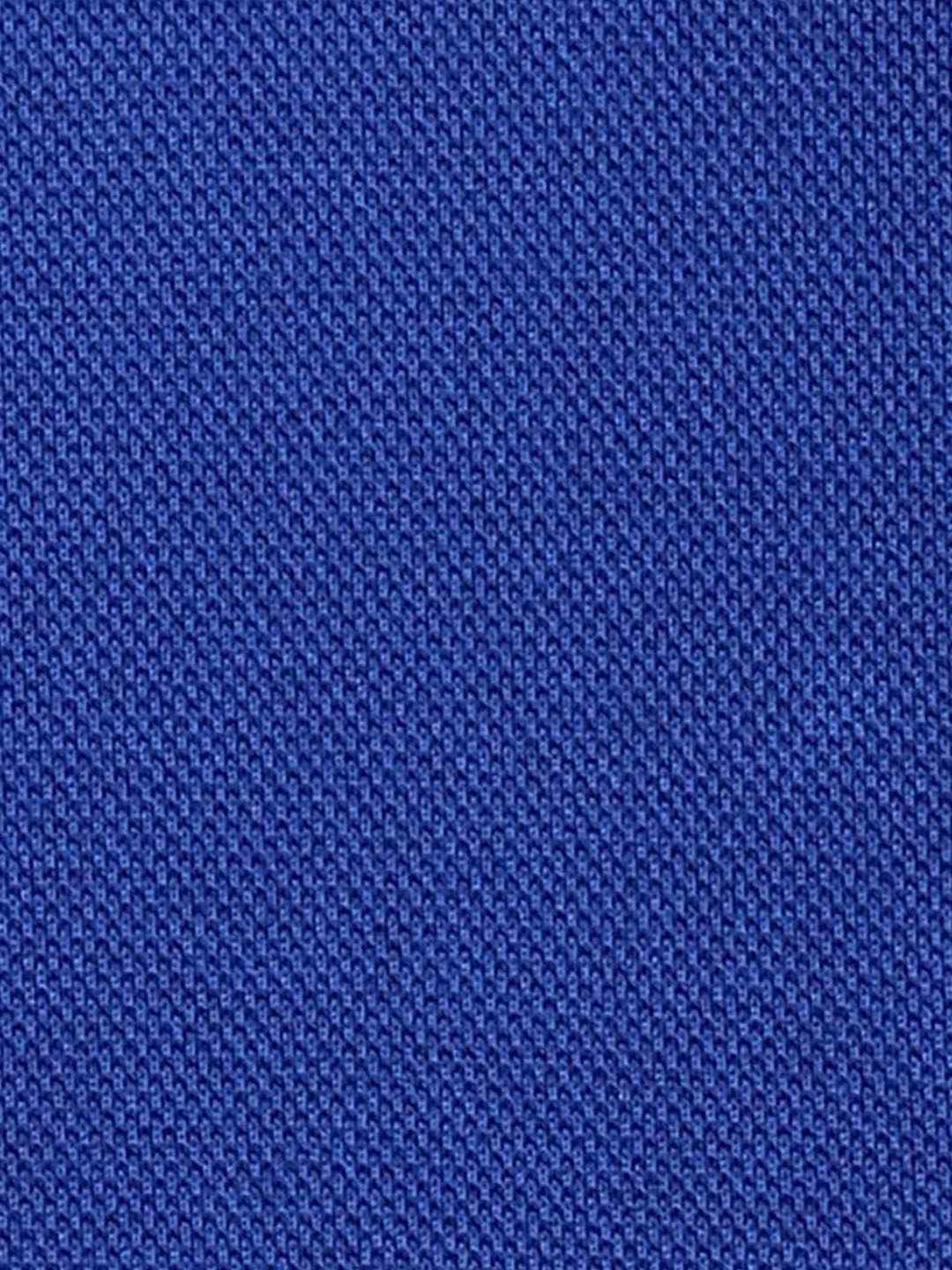 ColorPlus Blue Cotton Regular Fit Polo T-Shirt