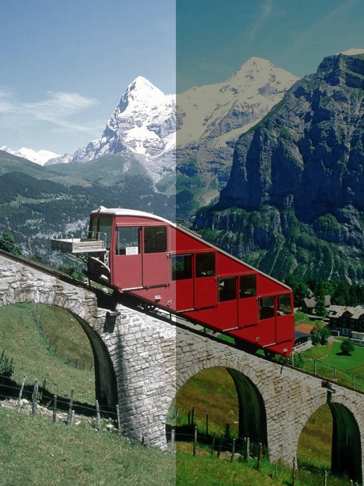 WEB EYEWEAR Green Round Sunglasses Designed in Italy