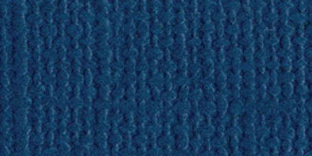 Bazzill BAZL-E-727 Bazzill Cardstock 12 x 12 Inch  - Case of  25