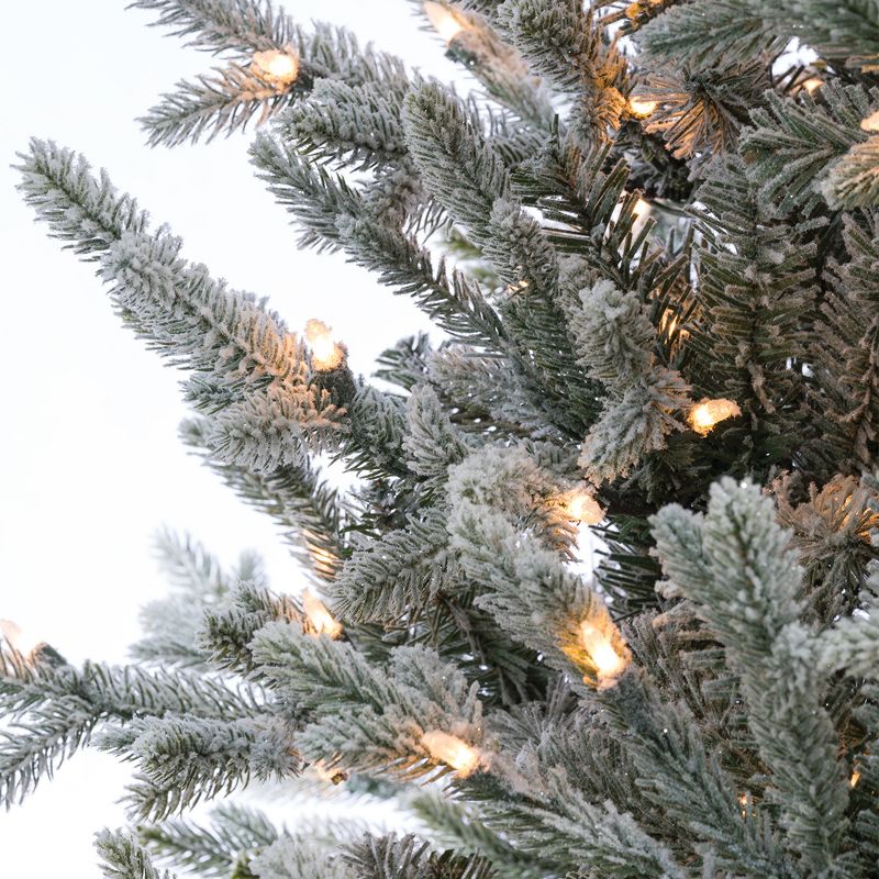 Sterling  7.5Ft. Lightly Flocked Natural Cut Olympia Fir with 800 Clear Lights