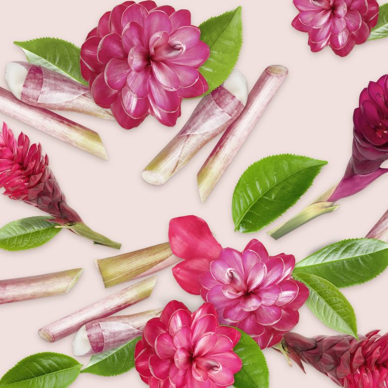 Love Beauty and Planet Vitality Zing Black Tea Kombucha & Red Ginger Hand Cream - 1oz