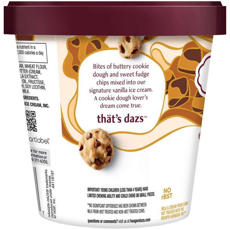 Haagen-Dazs Chocolate Chip Cookie Dough Ice Cream - 14oz