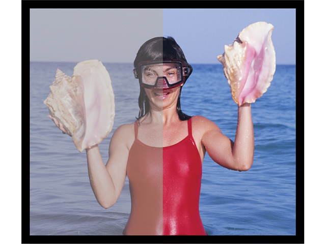 Individual Software PhotoStudio Expressions Platinum 6