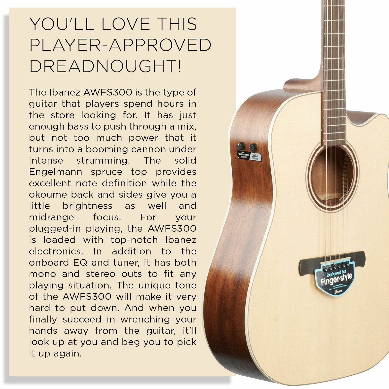 Ibanez AWFS300CE - Open Pore Semi-Gloss Acoustic-Electric Guitar