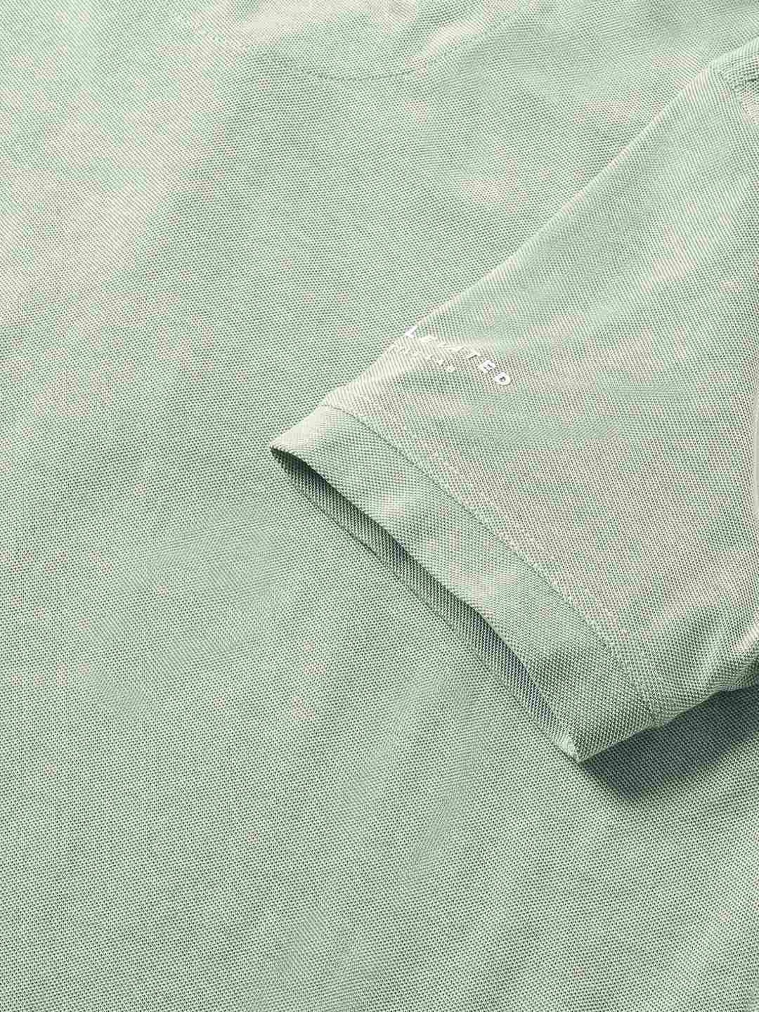 The Bear House Green Cotton Regular Fit Polo T-Shirt