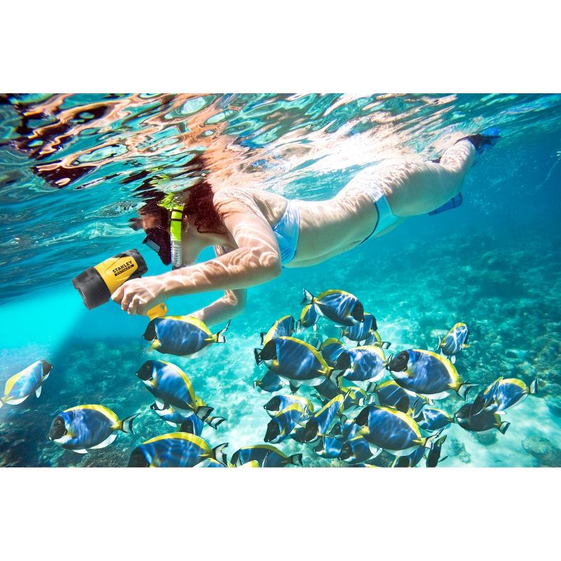 Eveready 2pk LED Flashlight