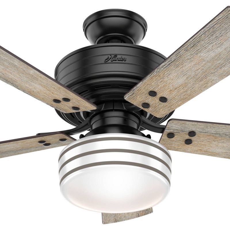 44" Cedar Key Damp Rated Ceiling Fan with Remote Black (Includes LED Light Bulb) - Hunter Fan
