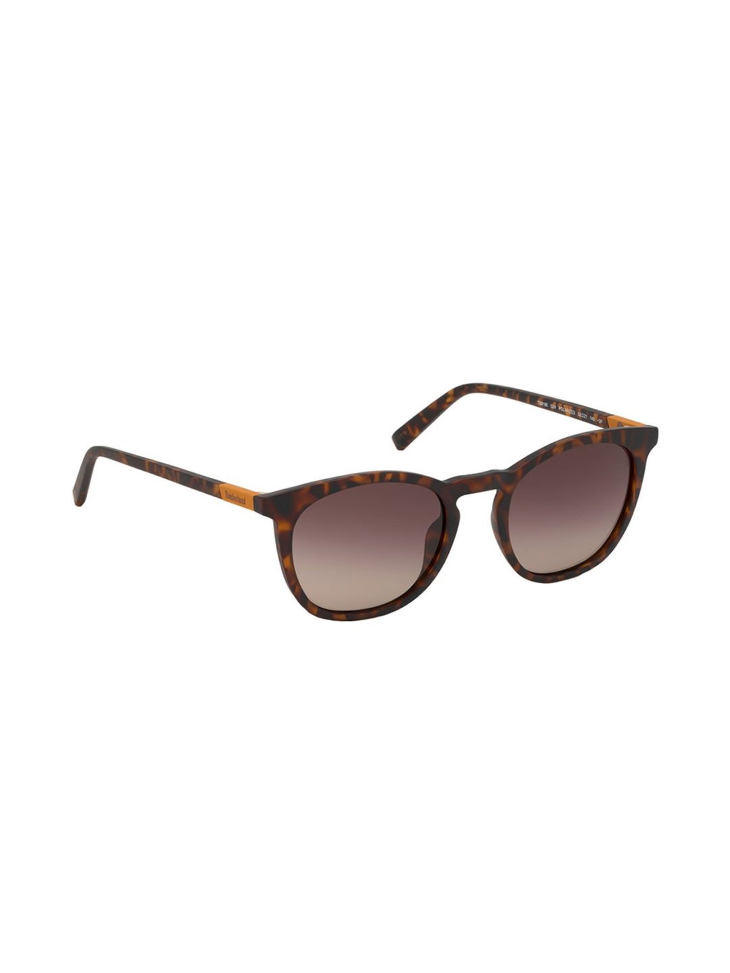Timberland Brown Wayfarer Sunglasses for Men