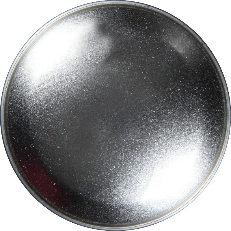 BISSELL 22 floz Oxy Stain Destroyer Pet For Carpet and Upholstery