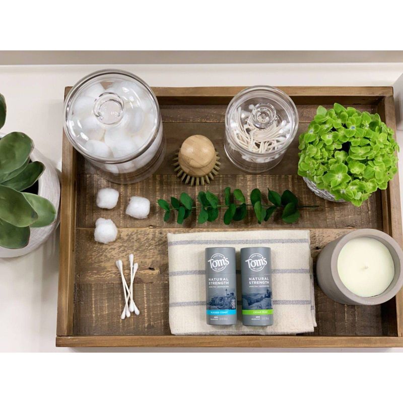 Tom's of Maine Men's Plastic-Free Natural Strength Deodorant Rugged Coast - 2oz