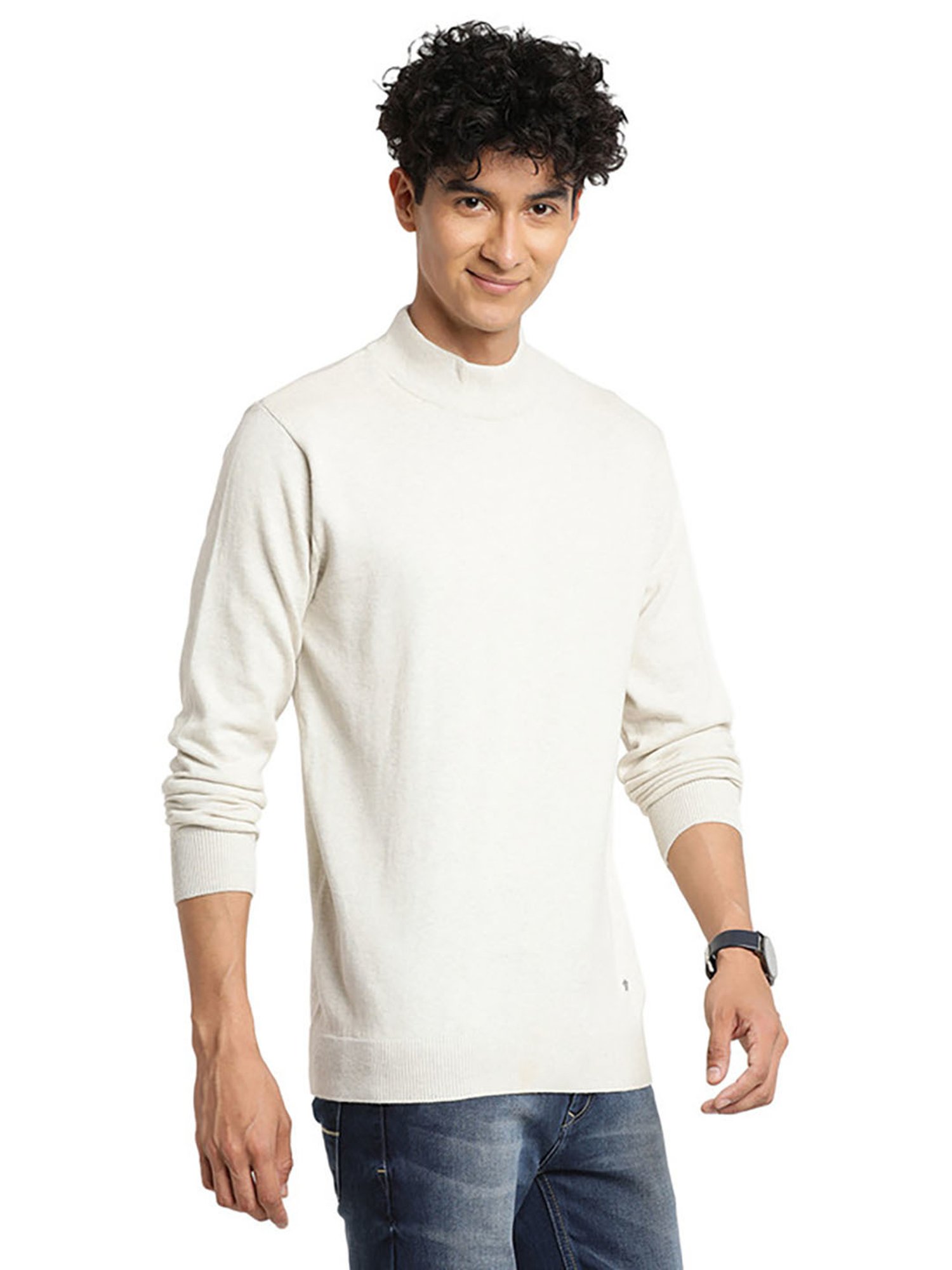 Turtle Beige Cotton Regular Fit Sweater