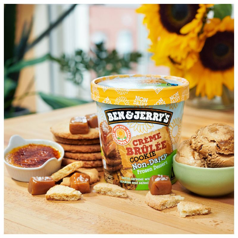 Ben & Jerry's Non Dairy Ice Cream Cream Brulee - 16oz