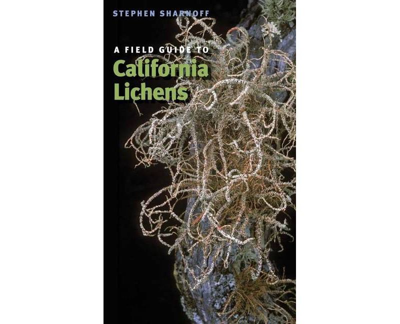 A Field Guide to California Lichens - by  Stephen Sharnoff (Paperback)